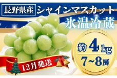 【2025年先行予約】氷温貯蔵シャインマスカット 約4kg(7~8房)｜果物 フルーツ 白ぶどう 葡萄 ブドウ 種無し 種なし 皮ごと 千曲市 長野県 信州