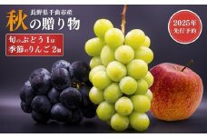 秋の贈り物 旬のぶどう1房と季節のりんご2個詰め合わせ｜葡萄 ブドウ 林檎 詰め合わせ セット 千曲市 長野県 信州