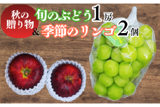 秋の贈り物 旬のぶどう1房と季節のりんご2個詰め合わせ｜葡萄 ブドウ 林檎 詰め合わせ セット 千曲市 長野県 信州