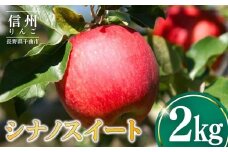 シナノスイート2kg りんご 林檎 リンゴ 信州りんご 長野県 千曲市
