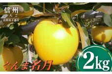 ぐんま名月2kg りんご 林檎 リンゴ 信州りんご 長野県 千曲市