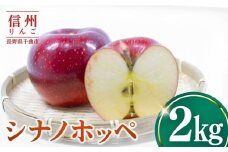シナノホッペ2kg りんご 林檎 リンゴ 信州りんご 長野県 千曲市