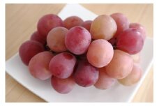 朝摘み クイーンルージュ🄬 約900g~1kg 2~3房｜果物 フルーツ 赤ぶどう 葡萄 ブドウ 種無し 種なし 皮ごと 千曲市 長野県 信州