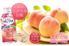 【3か月定期便】不二家ネクター つぶつぶ白桃 380g×24缶 | ふじや フルーツジュース 白桃ジュース 千曲市 長野県 信州