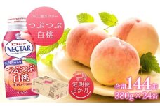 【6か月定期便】不二家ネクター つぶつぶ白桃 380g×24缶 | ふじや フルーツジュース 白桃ジュース 千曲市 長野県 信州