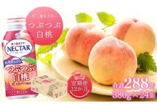 【12か月定期便】不二家ネクター つぶつぶ白桃 380g×24缶 | ふじや フルーツジュース 白桃ジュース 千曲市 長野県 信州