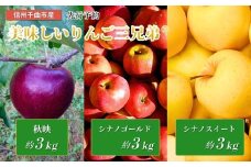 美味しいりんご三兄弟®（秋映、シナノゴールド、シナノスイート）食べ比べ｜林檎 フルーツ 果物 長野県 千曲市 信州