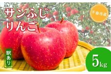 【2025年先行予約】訳あり りんご サンふじ  約5kg 果物 フルーツ 長野県産 千曲市 信州