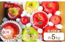 【2025年先行予約】訳あり りんご 園主におまかせ 詰合せ 計約5kg（10~18玉）りんごの宝石箱 産地直送 シナノスイート シナノゴールド 秋映 あいかの香り 群馬名月 王林 紅玉 シナノホッペ サンふじ 千曲市 長野県 信州