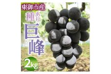 東御市産種あり巨峰約2kg　※9月上旬～10月上旬頃お届け予定