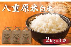 令和7年新米予約！八重原米 白米6kg(2kg×3袋)　※2025年10月以降順次発送｜笹屋農園「農薬削減長野県認証取得」