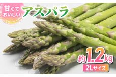 【先行受付2025年発送】東御市産アスパラガス約1.2kg ※2025年4月下旬〜6月下旬頃に順次発送予定