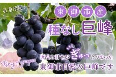 【先行予約】東御市産 種なし巨峰約2kg　※9月〜10月上旬お届け | 長野県 長野 人気 ぶどう 贈答用 ギフト 2kg 先行予約 フルーツ 果物 おすすめ 厳選 大粒 種無し 4房 5房 2024