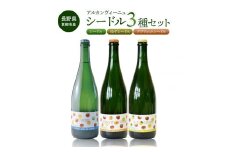 【アルカンヴィーニュ】シードル 3種セット(シードル・ゆずシードル・アプリコットシードル) ギフト お酒 飲み比べ プレゼント お取り寄せ 美味しい りんご 醸造酒 お中元 お歳暮 国産 信州 長野県東御市