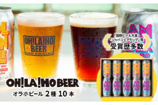 ゴールデンエール＆アンバーエール10本セット クラフトビール 飲み比べ
