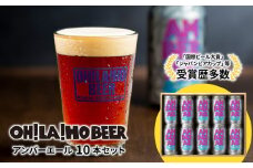 アンバーエール10本セット クラフトビール