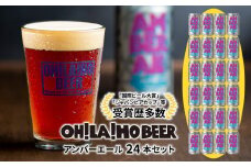 アンバーエール 24本セット クラフトビール
