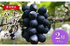 【2025年発送】東御市産ナガノパープル2房【8月下旬〜9月下旬発送】| 長野県 長野 人気 ぶどう 贈答用 ギフト 2房 フルーツ 果物 おすすめ 厳選 種無し 皮ごと 大粒 食べ比べ