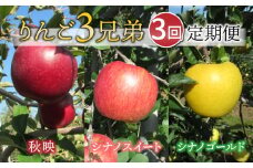 【限定10セット】東御市産りんご３兄弟定期便（3kg×3種 ） ※9月下旬～11月下旬頃に順次発送予定