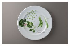【ヴィラデストワイナリー】ベジタブルシリーズ食器　ディナープレート２枚（エンドウとズッキーニ）セット