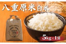 令和7年新米予約！八重原米 白米【5kg】(5kg×1袋)　※2025年10月以降順次発送｜笹屋農園「農薬削減長野県認証取得」