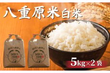 令和7年新米予約！八重原米 白米【10kg】(5kg×2袋)　※2025年10月以降順次発送｜笹屋農園「農薬削減長野県認証取得」