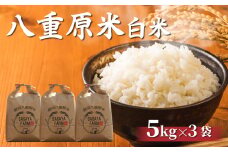 令和7年新米予約！八重原米 白米【15kg】(5kg×3袋)　※2025年10月以降順次発送｜笹屋農園「農薬削減長野県認証取得」