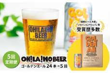 【5回定期便】ゴールデンエール24本定期便 クラフトビール