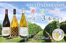 【限定50セット】496ワイナリー プレミアムワイン３本セット(赤・白・ロゼ 各1本)東御市産※2025年10月下旬以降発送