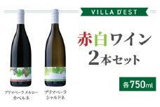 【ヴィラデストワイナリー】赤白ワイン2本セット（プリマベーラ シャルドネ＆プリマベーラメルロー・カベルネ） | 長野 長野県 東御市 東御ワイン 辛口 日本ワイン 飲み比べ