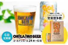 【6回定期便】ゴールデンエール24本定期便 クラフトビール