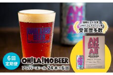 【6回定期便】アンバーエール24本定期便 クラフトビール