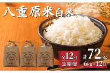 令和7年新米予約【12回定期便】東御市産 八重原米6kg　白米　※2025年10月以降順次発送｜笹屋農園「農薬削減長野県認証取得」