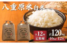 令和7年新米予約【12回定期便】東御市産 八重原米10kg（白米）　※2025年10月以降順次発送｜笹屋農園「農薬削減長野県認証取得」