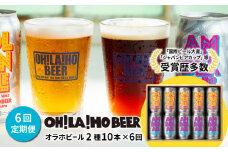 【6回定期便】ゴールデンエール＆アンバーエール 10本定期便 クラフトビール 飲み比べ