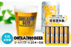 【6回定期便】ゴールデンエール10本定期便 クラフトビール
