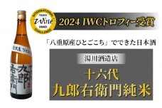 日本酒 【湯川酒造店】 十六代九郎右衛門 純米 ひとごこち（2024年 IWCトロフィー受賞）