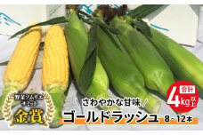 【先行受付2025年発送】野菜ソムリエサミット金賞受賞！東御市産とうもろこし（ゴールドラッシュ）約4kg（8〜12本）｜スイートコーン ※2025年7月上旬頃~9月中旬頃に順次発送予定※着日指定不可