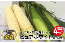 【先行受付2025年発送】野菜ソムリエサミット金賞受賞！東御市産とうもろこし（ピュアホワイト）約4kg（8~12本） | スイートコーン※2025年7月上旬頃~9月上旬頃に順次発送予定※着日指定不可