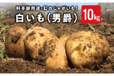 【先行受付2025年発送】料亭御用達！東御市産白いも10kg｜じゃがいも【数量限定】※2025年8月下旬～10月下旬に順次発送予定※着日指定不可