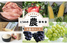 【限定30セット】とうみの「農」頒布会（6回コース）