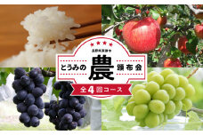 【限定30セット】とうみの「農」頒布会（4回コース）