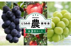 【限定30セット】とうみの「農」頒布会（3回コース）