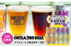【3回定期便】オラホビール3種飲み比べ10本セット