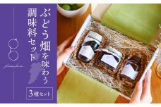 （2025年12月以降順次発送）ぶどう畑を味わう調味料３種（マスタード・ジャム・シロップ）セット