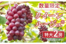 【数量限定】クイーンルージュ__特大2房　※7月中旬〜8月上旬頃発送