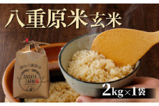 令和7年新米予約！八重原米2kg（2kg×1袋）玄米　※2025年10月以降順次発送｜笹屋農園「農薬削減長野県認証取得」