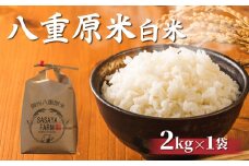 令和7年新米予約！八重原米2kg（2kg×1袋）白米　※2025年10月以降順次発送｜笹屋農園「農薬削減長野県認証取得」