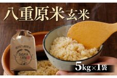 令和7年新米予約！八重原米5kg（5kg×1袋）玄米 ※2025年10月以降順次発送｜笹屋農園「農薬削減長野県認証取得」