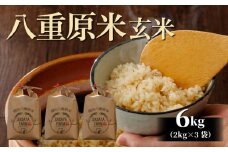 令和7年新米予約！八重原米6kg（2kg×3袋）玄米 ※2025年10月以降順次発送｜笹屋農園「農薬削減長野県認証取得」